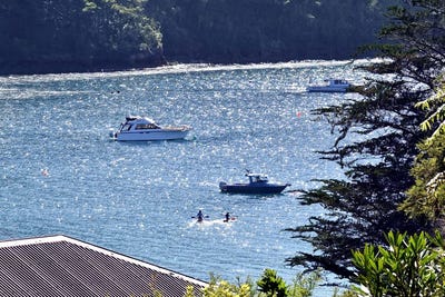 /international/nz/archers-road-marlborough-sounds-marlborough-320108593924/