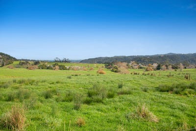 /international/nz/anderson-road-helensville-auckland-320106542424/