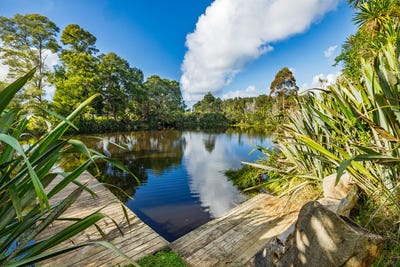 /international/nz/tui-glen-road-haruru-northland-320108485757/?lang=zh-tw