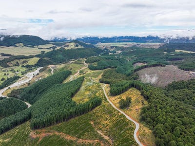 /international/nz/howard-valley-road-saint-arnaud-tasman-320107363478/