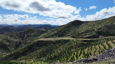 /international/nz/tinui-valley-road-masterton-wellington-320102871526/