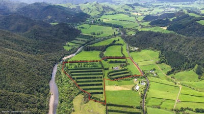 /international/nz/puketui-valley-road-pauanui-waikato-320103560034/