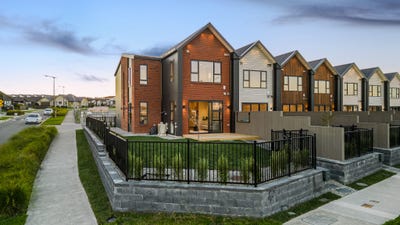 /international/nz/dendro-ring-road-milldale-auckland-320107767656/