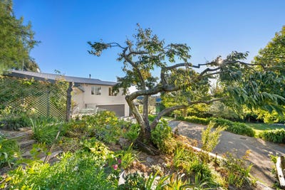 /international/nz/howick-road-witherlea-marlborough-320107424157/