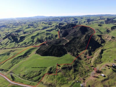 /international/nz/bush-road-otorohanga-waikato-320100457525/