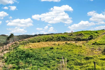 /international/nz/bickerstaffe-road-maungaturoto-northland-320107767508/