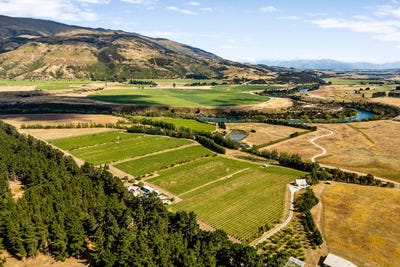 /international/nz/maori-point-road-tarras-otago-320098229831/