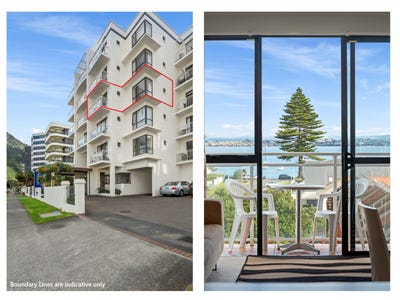/international/nz/maunganui-road-mount-maunganui-bay-of-plenty-320099969493/