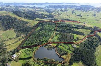/international/nz/purangi-road-whenuakite-waikato-320106745947/