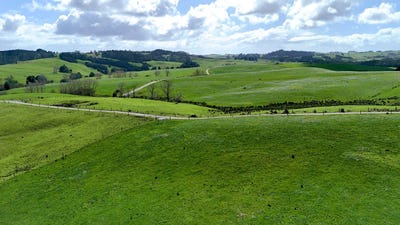 /international/nz/parker-road-wellsford-auckland-320102887195/