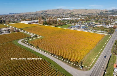 /international/nz/battys-road-redwoodtown-marlborough-320108039088/