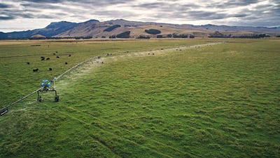 /international/nz/seabridge-road-motukarara-canterbury-320090134455/