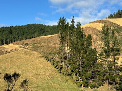 /international/nz/russells-road-whitemans-valley-wellington-320105321769/