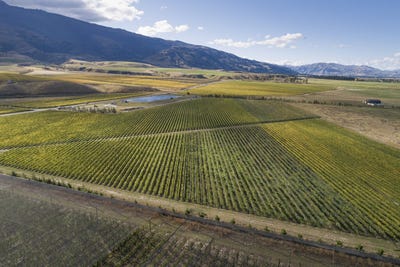 /international/nz/luggate-cromwell-road-and-67g-rush-lane-cromwell-otago-320102204444/