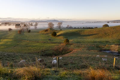 /international/nz/mahuta-road-north-mangatarata-waikato-320107296974/