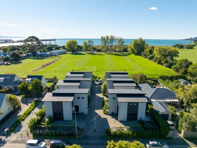/international/nz/weka-street-nelson-nelson-320107645191/