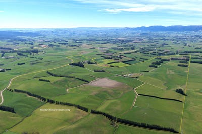 /international/nz/adam-fleming-road-tapanui-otago-320107525174/