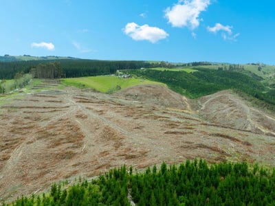 /international/nz/fletcher-road-table-hill-milton-otago-320105118655/