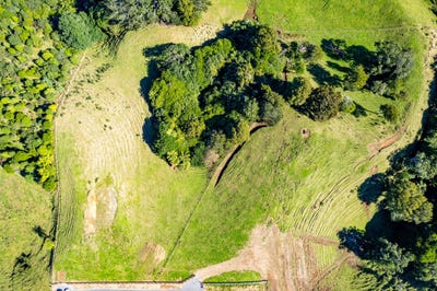 /international/nz/frankley-road-hurworth-taranaki-320107669976/