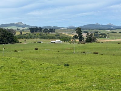 /international/nz/blacks-road-palmerston-otago-320107619615/