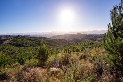 /international/nz/win-valley-road-upper-moutere-tasman-320090370406/?lang=zh-cn