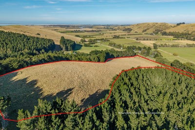 /international/nz/millers-road-gebbies-valley-motukarara-canterbury-320108271928/