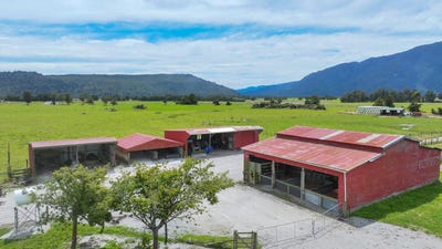 /international/nz/wanganui-flat-road-harihari-west-coast-320105118349/