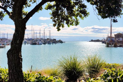 /international/nz/west-quay-ahuriri-hawke-s-bay-320106629114/