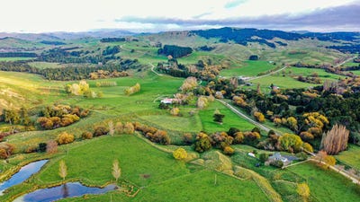 /international/nz/glenora-road-akitio-manawatu-whanganui-320105713416/