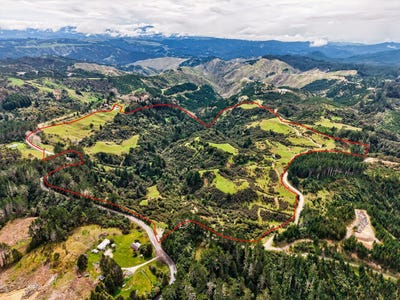 /international/nz/tuahu-road-tolaga-bay-gisborne-320102564522/