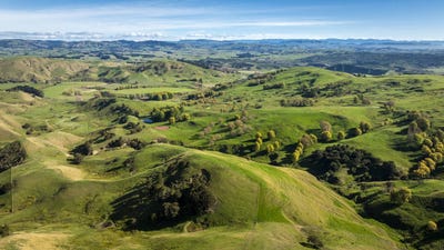 /international/nz/porangahau-road-porangahau-hawke-s-bay-320108005937/