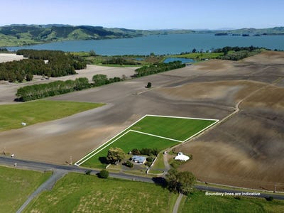 /international/nz/waerenga-road-te-kauwhata-waikato-320097777578/