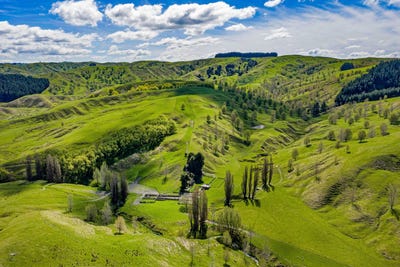 /international/nz/bush-road-central-hawke-s-bay-country-hawke-s-bay-320102807119/
