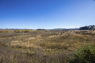 /international/nz/glenmark-drive-waipara-canterbury-320107915101/