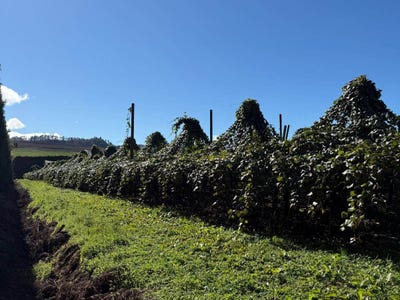 /international/nz/waihi-beach-road-waihi-waikato-320108366294/