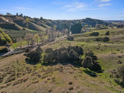/international/nz/neudorf-road-upper-moutere-tasman-320106076349/