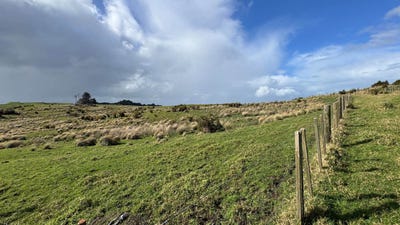 /international/nz/monowai-road-wainui-auckland-320102870985/
