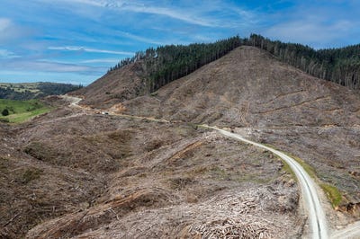 /international/nz/lots-2-4-14-15-dp-9115-motu-road-matawai-gisborne-320104825882/