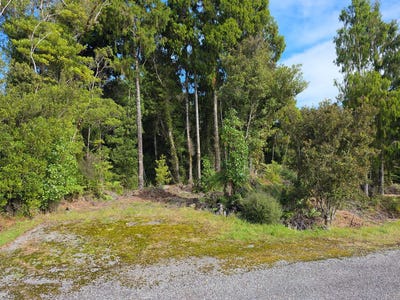 /international/nz/ballarat-rise-awatuna-west-coast-320106859482/