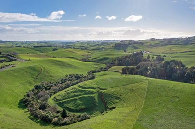 /international/nz/te-papatapu-road-raglan-waikato-320100223967/?lang=zh-cn