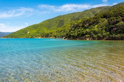 /international/nz/onauku-bay-queen-charlotte-sounds-marlborough-320107092900/