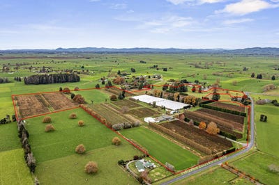 /international/nz/te-rahu-road-te-awamutu-waikato-320092243289/