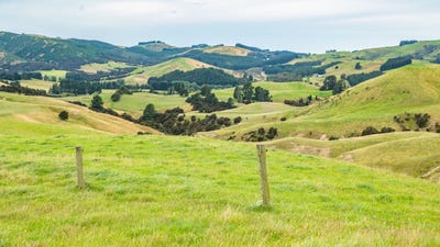 /international/nz/heathfield-road-greta-valley-canterbury-320105346823/