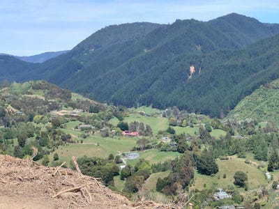 /international/nz/ross-road-hira-nelson-320106160226/