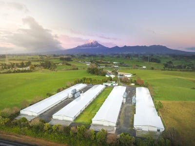 /international/nz/thomason-road-egmont-village-taranaki-320107669917/