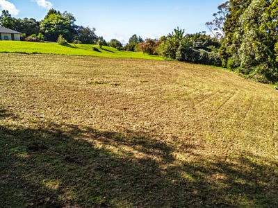 /international/nz/tanekaha-lane-kerikeri-northland-320107705837/