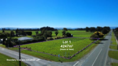 /international/nz/george-street-edendale-southland-320106683433/
