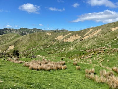 /international/nz/waikakahi-road-pongaroa-manawatu-whanganui-320105713178/