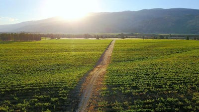 /international/nz/maori-point-road-tarras-otago-320103174773/