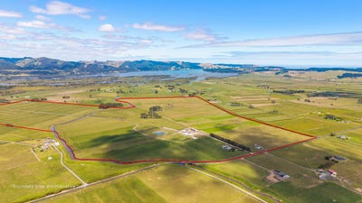 /international/nz/otaua-road-waiuku-auckland-region-320106683933/